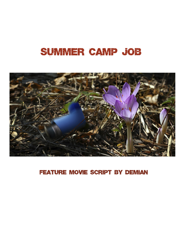 Summer Camp Job